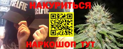 Альфа ПВП Пушкино