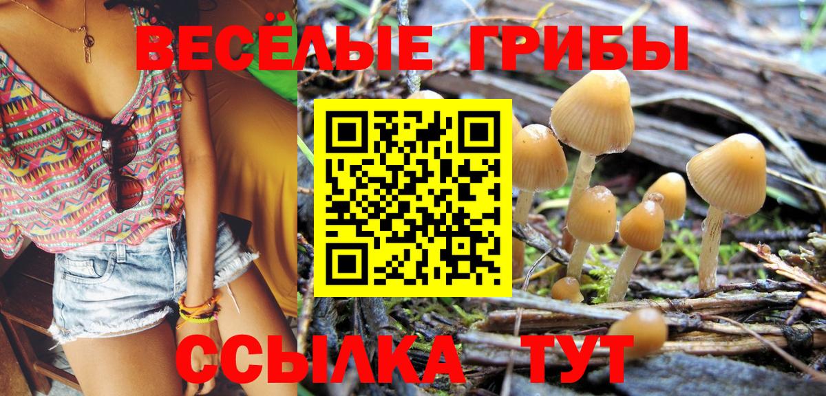Похвистнево  Псилоцибиновые грибы ЛСД  Вход с VPN 